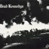 Dead Kennedys-Fresh Fruit For Rotting Vegetables Produktbild-Vorschau 1