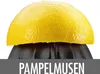 GASTROBACK Zitruspresse 41138 Edelstahlgehäuse 100 W Produktbild-Vorschau 13