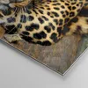 Bilder auf glas - Einteilig - Tiere gefährlich wilde katze Produktbild-Vorschau 5