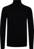 11 Project PRIngbert Herren Rollkragenpullover Pullover Produktbild-Vorschau 6