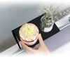 A hand is placing a shelf on top of a computer monitor. The shelf holds a potted succulent and a small vase with dried flowers. Produktbild-Vorschau