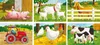 Mein Bauernhof Ravensburger 07463 Produktbild-Vorschau 9