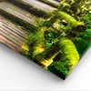 Bild auf Leinwand - Leinwandbild - Asien natur park brücke Produktbild-Vorschau 5