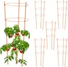 Set da 6 supporti per rampicanti Relaxdays, metallo e Anteprima dell’immagine prodotto 1