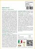 SAFLAX  - Albero del tè - 400 semi - Melaleuca Anteprima dell’immagine prodotto 3