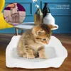A kitten sits in a white litter box liner on a wooden floor, with decorative vases on a table in the background. Náhled obrázku produktu