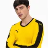 Puma LIGA GK Jersey | Cyber Yellow-Puma Black | Größe: XL Produktbild-Vorschau 5