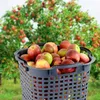 GreenLife Uni-Korb 25 kg 10 Stück grau drehstapelbar Produktbild-Vorschau 9