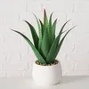 Plante d'aloès artificielle en pot MONDRAGO, 29 cm Voir les images du produit 7