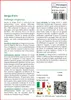 SAFLAX  - Verga d'oro  - 100 semi - Solidago Anteprima dell’immagine prodotto 3