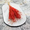 Flachs Getrocknete - (Leinen) - Orange Produktbild-Vorschau 7