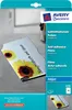 AVERY Pellicole inkjet Zweckform, A4, trasparenti, spessore Anteprima dell’immagine prodotto 11