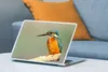 MuchoWow® Laptop Aufkleber Sticker Cover Vogel - Eisvogel - Produktbild-Vorschau 4