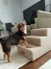 A small dog is standing on a carpet next to a set of pet stairs in a living room. Náhľad obrázku produktu