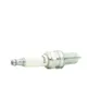 Champion Candele Sistema Di Accensione Cch810 Anteprima dell’immagine prodotto 1