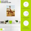 ARTland Wandbild, selbstklebend Giraffe Größe: 30x40 cm Produktbild-Vorschau 3