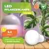 BioGreen Energiesparende LED Pflanzenlampe "LUM 505" mit Produktbild-Vorschau 2