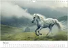 Wilde Mähnen: Ein Jahr mit Pferden (Wandkalender 2026 DIN Produktbild-Vorschau 8