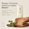 Beauty Of Joseon Stick solare opaco Artemisia + Camelia Anteprima dell’immagine prodotto 8