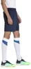 Pantalones cortos de entrenamiento Puma Teamrise para Vista previa de la imagen del producto 5