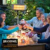 A group of people are toasting with wine glasses around a table outdoors at night, with an outdoor heater providing warmth and light. Produktbild-Vorschau