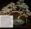 10 m drutu do bonsai wykonanego z anodyzowanego aluminium w Podgląd zdjęcia produktu 6