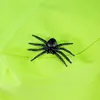 Bigjigs Toys Insektenfängerset Produktbild-Vorschau 7