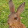 Dekofigur Gartenfigur Hase 10 x 14 x 27 cm Produktbild-Vorschau 4