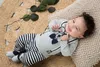 Dirkje Jungen Set Hose und Shirt grau  68 Produktbild-Vorschau 4