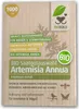Artikelbild 2 von 'BIO Artemisia Annua (1000 Korn)' aus der Kategorie Beifußsamen Produktbild-Vorschau