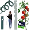 KADAX Tondini a spirale per pomodori 120 cm x 6 mm, set da Anteprima dell’immagine prodotto 1