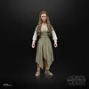 Hasbro - Star Wars Return Of The Jedi The Black Series Náhled obrázku produktu 10