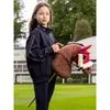 LeMieux Hobby Horse Steckenpferd, Farbe:Chancer Produktbild-Vorschau 3
