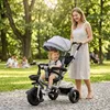 Rower trójkołowy Funfit Kids Twist w kolorze szarym z Podgląd zdjęcia produktu 3