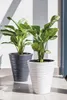 KADAX Blumentopf mit Einsatz "Temara", Blumenkübel, Produktbild-Vorschau 5