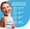 Swedish Nutra Flssiges Marine Collagen 500 ml - Vitamin C - Produktbild-Vorschau 3