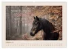 Pferdepoesie - Augenblicke voller Seele (Wandkalender 2027 Produktbild-Vorschau 13