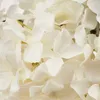 Hortensia Dense Beau Bouquet D'hortensias Fleurs Voir les images du produit 17