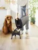 Rotho Cody Contenitore per alimenti per animali domestici Anteprima dell’immagine prodotto 3