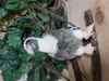 Plüschtier Geier 16 cm , Stofftiere Kuscheltiere Vogel Produktbild-Vorschau 4