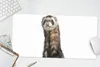 MuchoWow® Mauspad Mousepad Frettchen - Tiere - Fell 60x30 Produktbild-Vorschau 5