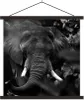 MuchoWow® Textilposter Tiere - Elefant - Schmetterlinge - Produktbild-Vorschau 1