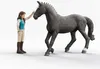 Schleich 42712 - Lisa e Storm - Club del cavallo Anteprima dell’immagine prodotto 5