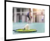 MuchoWow® Gerahmtes Poster Ein Badmintonschläger mit Produktbild-Vorschau 1