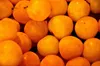 Food-United MIRABELLEN FRUCHT-PÜREE Ponthier 1KG für Produktbild-Vorschau 4