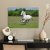 MuchoWow® Poster Pferde - Natur - Weiß 90x60 cm - Produktbild-Vorschau 4