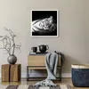 Poster - Poster ohne Rahmen - Weiß Tiger Schwarz und Weiß - Produktbild-Vorschau 6
