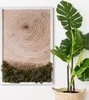 Moosbild mit Echtem Isländisch Moos - 40x60 cm - Weißer Produktbild-Vorschau 1