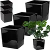 A set of black square planters, with one planter containing a monstera plant. Produktbild-Vorschau