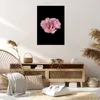 Bild auf Leinwand - Leinwandbild - Einteilig - Hibiskus Produktbild-Vorschau 7